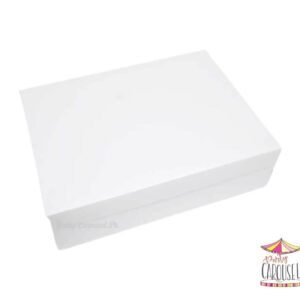 12x16x4whitebox
