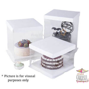 acetatecakeboxwhite
