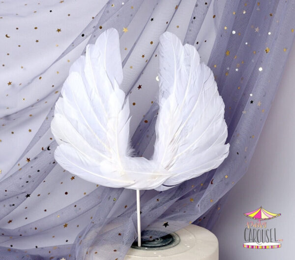 angelwingswht