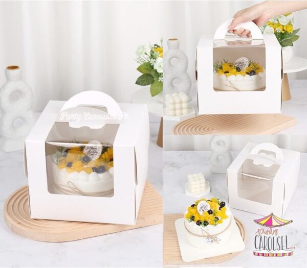 portablecakebox10x10