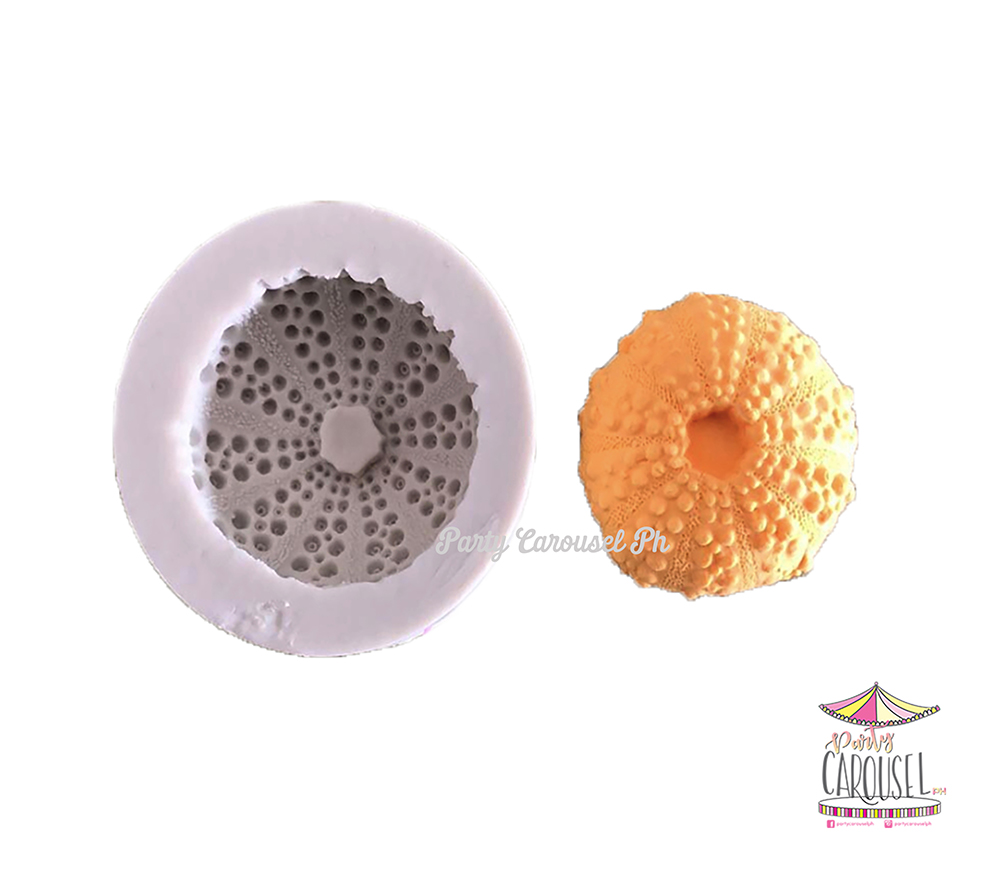 spongecoral