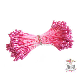 stamenhotpink scaled