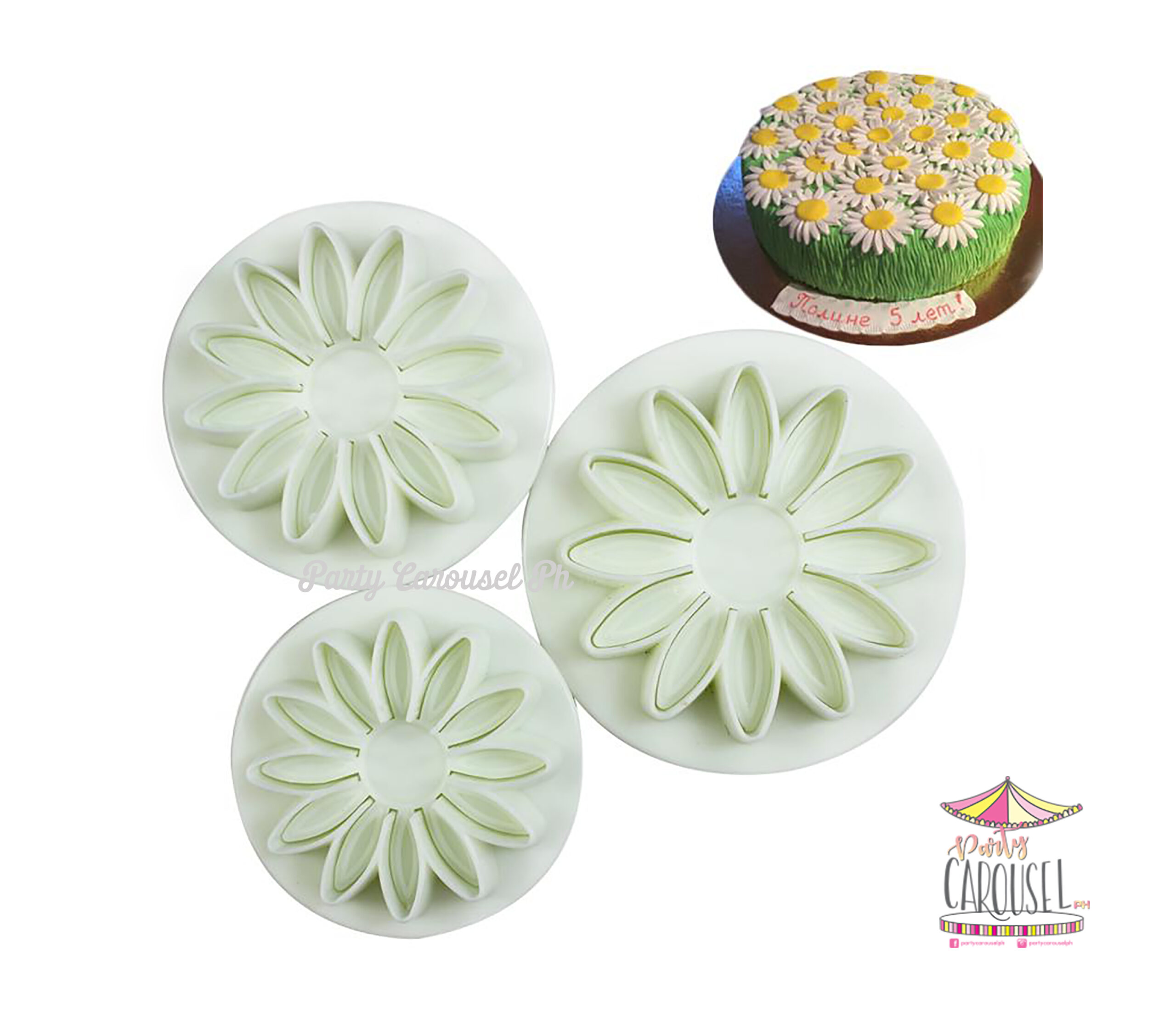 sunflowermediumplunger scaled