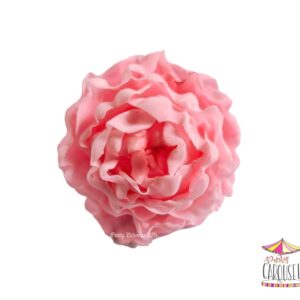 peonyclosepink