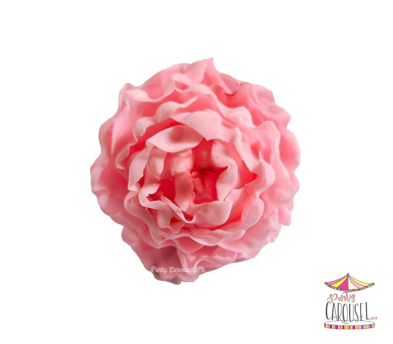 peonyclosepink