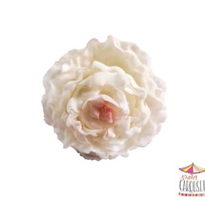 peonyclosewhite