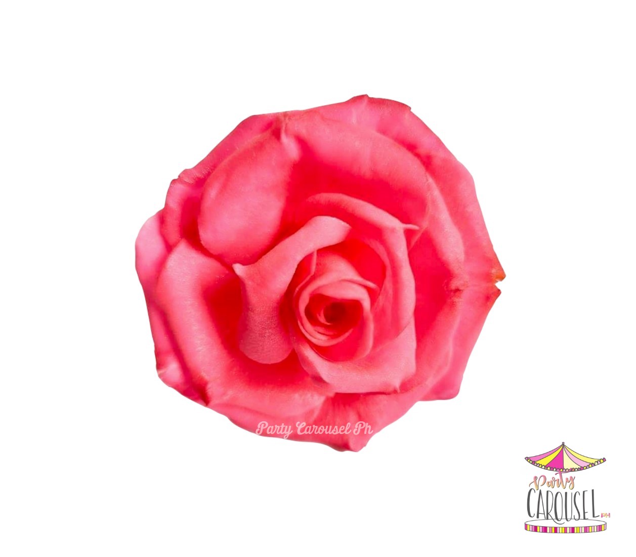 rosedarkpink