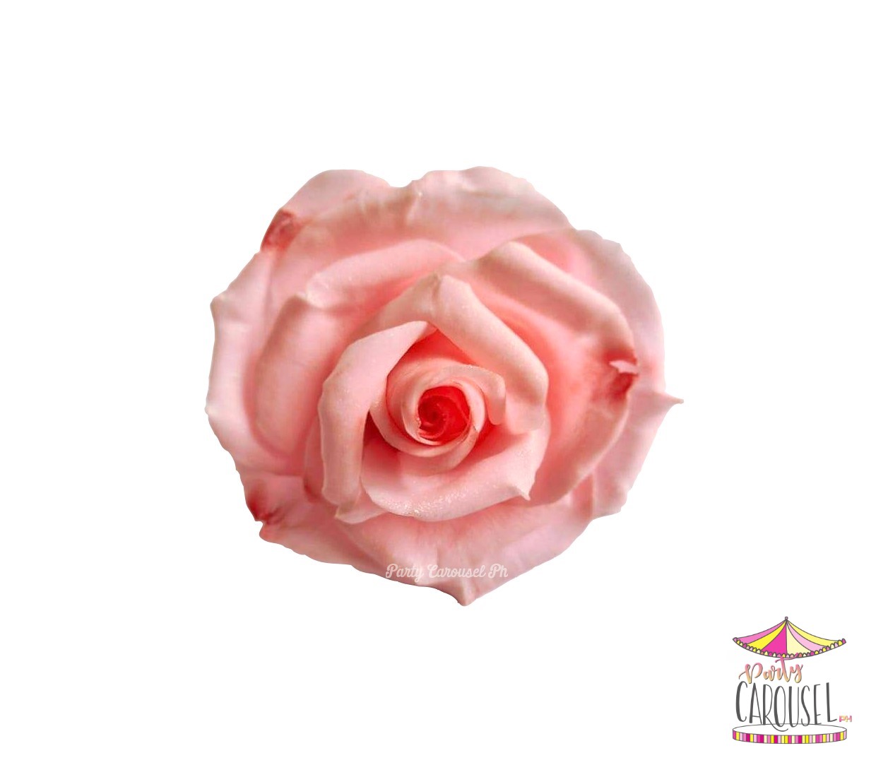 roselightpink