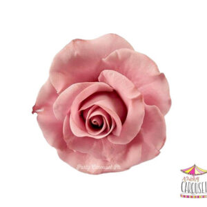 roseoldrose