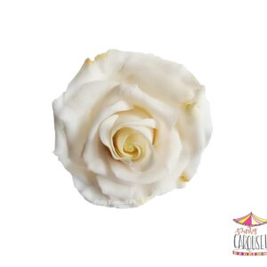 rosewhite