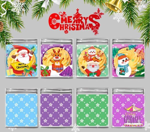 cookiepouchxmasB